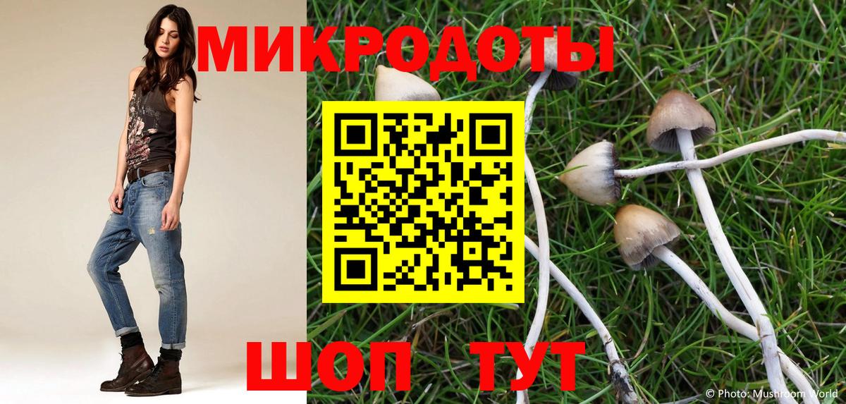Зерноград  Псилоцибиновые грибы Magic Shrooms  цены   Вход с VPN 